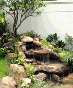 Thiết kế hòn non bộ LUCASTA