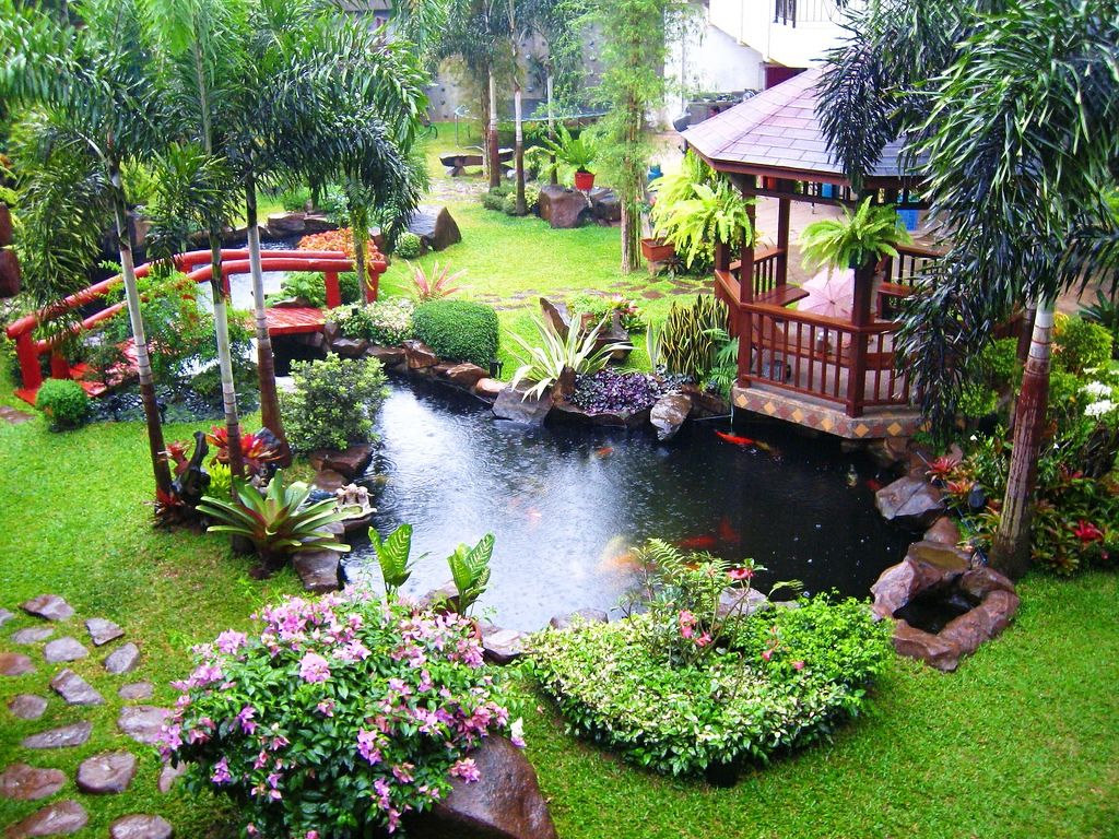 Thiết kế hồ Koi anh Lam