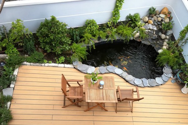 Thiết kế hồ cá koi mini