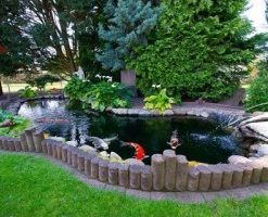 Hồ cá koi sân vườn anh Lộc